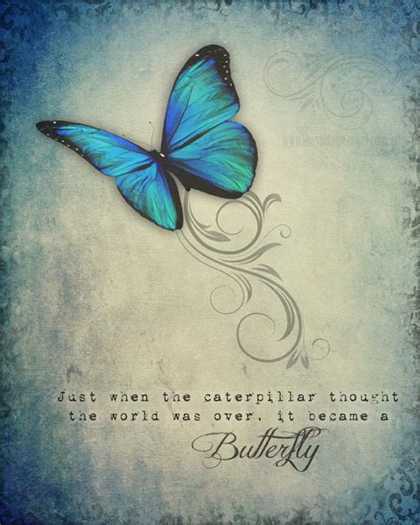Encouraging Butterfly Inspirational Quote By The Vintage Angel
