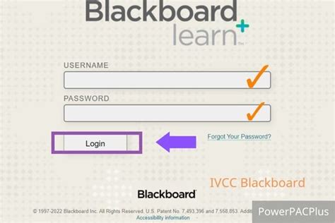 Ivcc Blackboard Login Password Reset Illinois Valley Community College