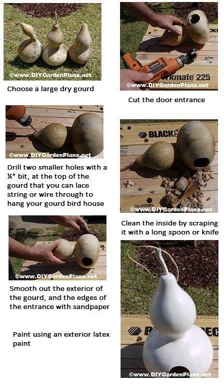 Pictures With Instructions To Make A Gourd Bird House Gourd Bird