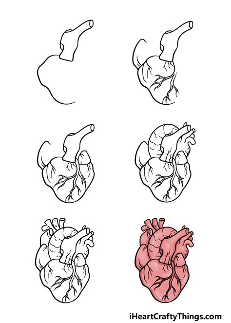 How To Draw An Anatomically Correct Heart Maes Squirequisen96