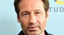 David Duchovny reveals how his new novel is connected to 'The X-Files'