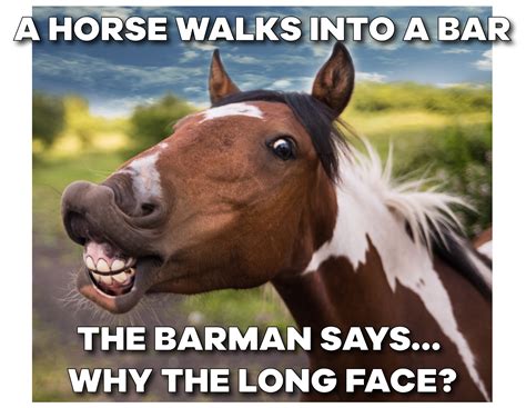 14 Funny Horse Memes That Will Make You Smile Funny Horse Memes