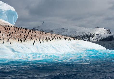 Nowa Zelandia Antarktyda Goforworld