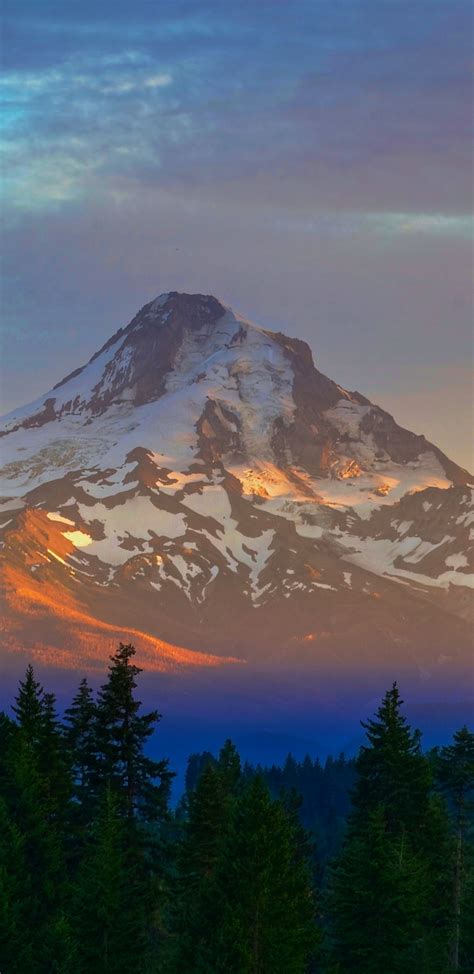 Download 1440x2960 Wallpaper Mount Taranaki Golden Peak Trees Sunset