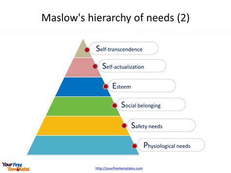 Maslows Theory Of Hierarchy