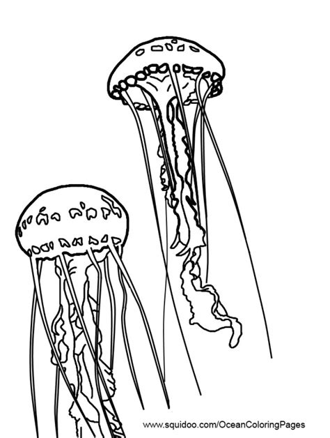 March 6, 2021march 6, 2021 by johnqubil. 195 best Black light jellyfish sweet 16 party images on ...