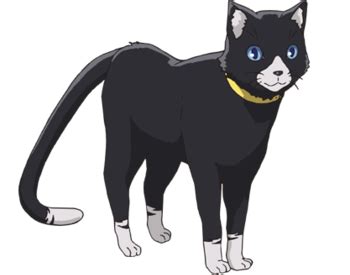 Content from other persona games is allowed if it relates to persona 5 in some way. Morgana (Persona 5) | Pooh's Adventures Wiki | Fandom