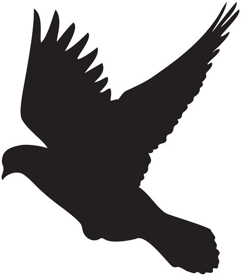 Columbidae Bird Flight Silhouette Clip Art Flying Dove Silhouette Png