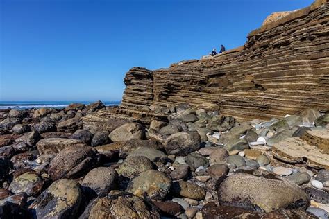 Cabrillo Tide Pools San Diego 2020 Lo Que Se Debe Saber Antes De