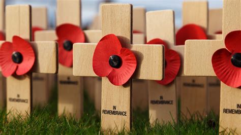 The History Of Remembrance Day Sky History Tv Channel