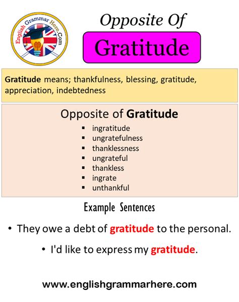 Opposite Of Gratitude Antonyms Of Gratitude Meaning And Example