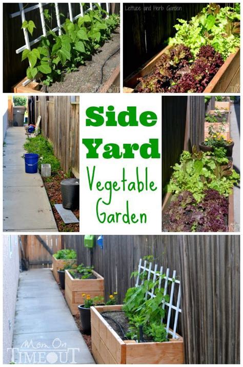 Side Yard Vegetable Garden Small Space Solutions