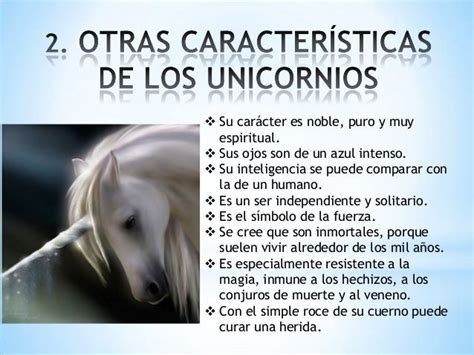 Los Unicornios 131013