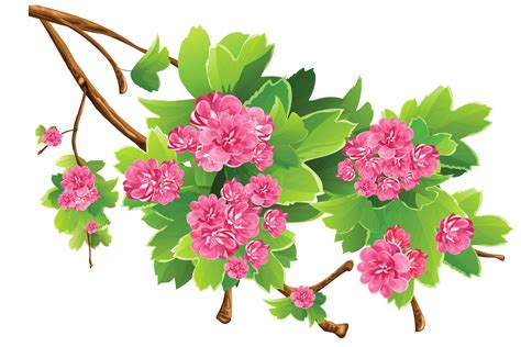 Spring Branch Clipart 20 Free Cliparts Download Images On Clipground 2019