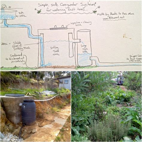 Building A Biological Diy Greywater System With No Reedbeds In 2020