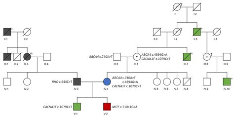 Genetic Pedigree Symbols