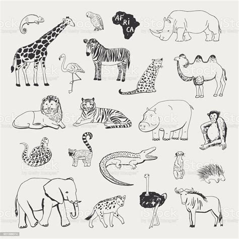 African Animals Vector Illustrartions Graphic Set Stock Illustration