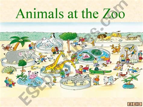 Esl English Powerpoints Animals At The Zoo