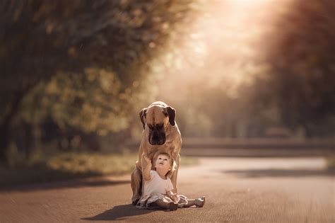 Little Kids And Their Big Dog Photos
