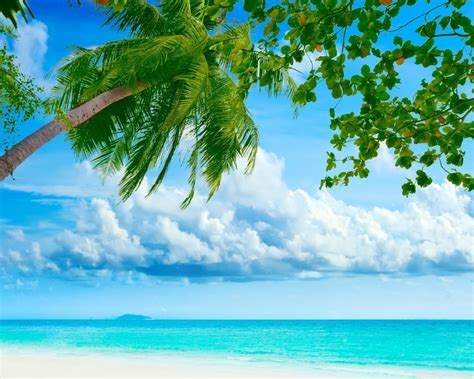Tropical Beach Resorts Wallpaper 2560x1600