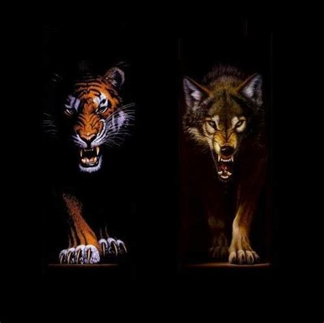 The Tiger And The Wolf Fanfic Von Supercraig Auf Animexxde Übersicht