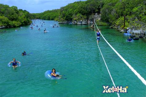 Xel Ha Aquatic Park Mexico Where Nature And Adventure Meet Where