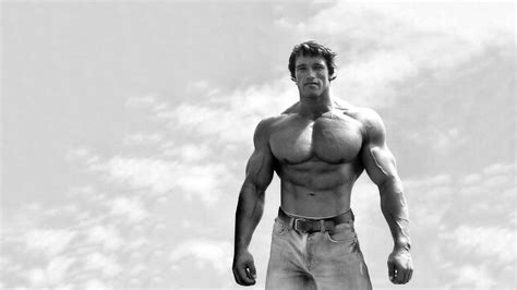 free download arnold schwarzenegger wallpapers [1280x1024] for your desktop mobile and tablet