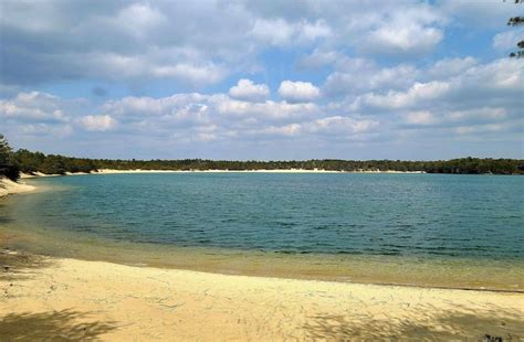 This Hidden Lake In New Jerseys Pinelands Has Bluest Water