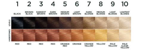 Garnier Hair Color Chart Numbers Best Hairstyles Ideas For Women And