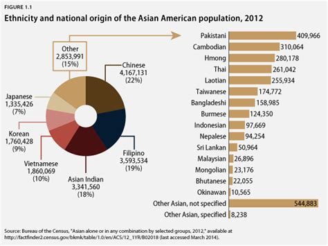 Asam News State Of Asian America Report Captures Vast Diversity Of Aapis