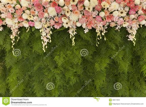 Beautiful Flowers With Green Fern Leaves Wall Background For Wed Stock