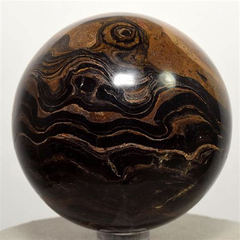 65mm Stromatolite Sphere Natural Black Brown Algae Fossil