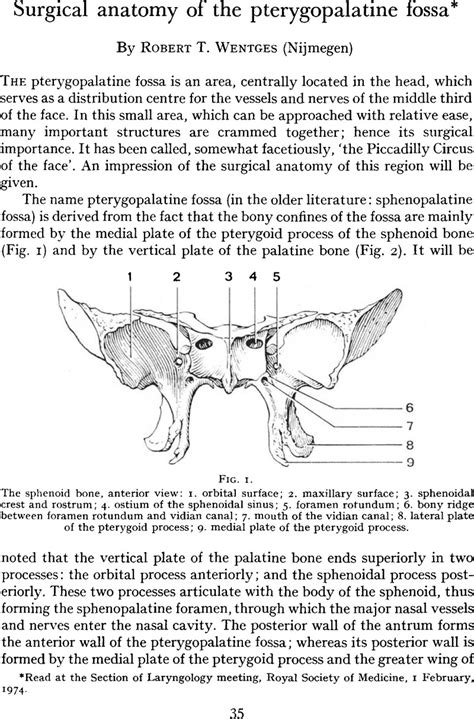 Surgical Anatomy Of The Pterygopalatine Fossa The Journal Of