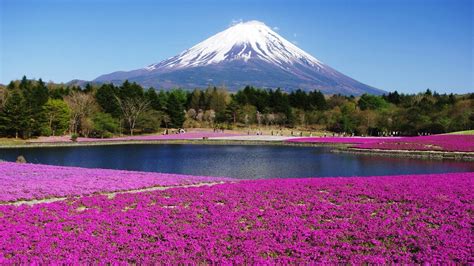 Honshu Island Japan View Of Mount Fuji