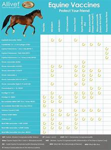 Allivet 39 S Equine Vaccine Chart Allivet Pet Care Blog