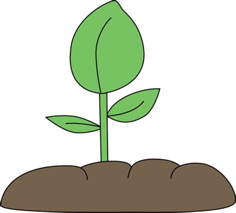 Download High Quality Plant Clipart Cartoon Transparent Png Images
