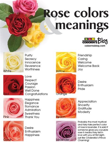 Rose Color Meanings And Flower Chart