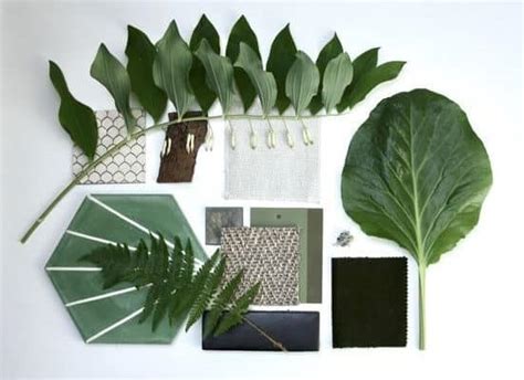 Biophilia Interior Design Drafting The Interior Grid With Green