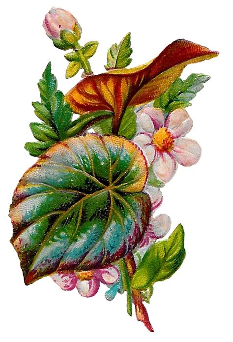 The Graphics Monarch Free Stock Flower Clip Art Antique