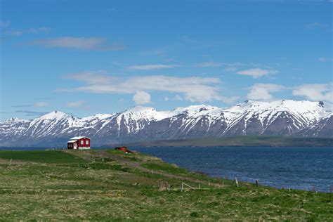 Dalvik Les Points Forts De La Ville à Visiter Islande24