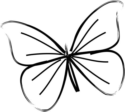 Images Simple Butterfly Drawings Kids Easy Butterfly Drawing