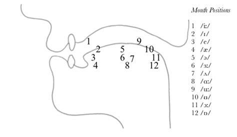 Vowel Mouth Positions