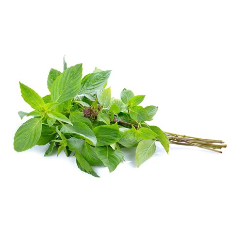 Fresh Thai Sweet Basil 100g Imported Weekly From Thailand Thai