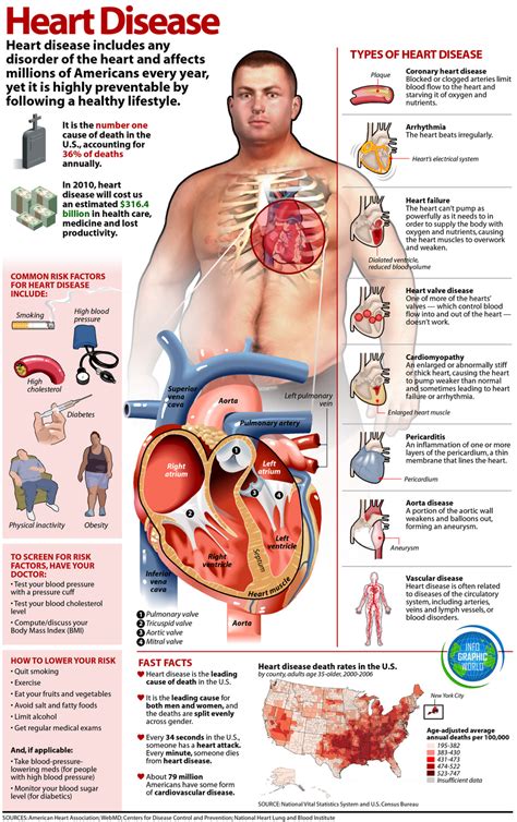 All About Heart Disease Infographic