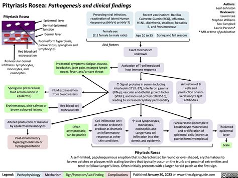 Pityriasis Rosea Calgary Guide