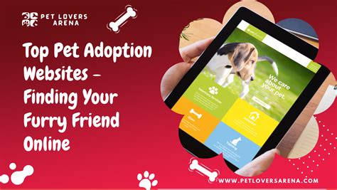 Top 16 Pet Adoption Websites Finding Your Furry Friend Online