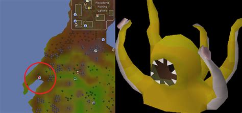 In postbag from the hedge 40, nurmof says that the reason scorpions are at nearly every mining spot in runescape is that they enjoy eating scorpionite, much like how dragons enjoy eating runite.; Five Easiest to get Old School RuneScape Pets | Ez Rs Gold