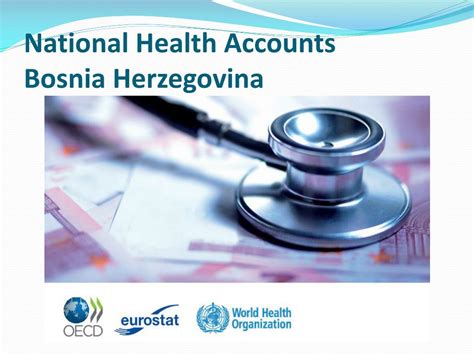 Ppt National Health Accounts Bosnia Herzegovina Powerpoint