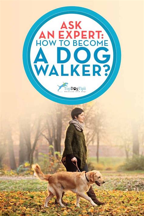 There are festivals dedicated to such films. Ask the Expert: How to Become a Dog Walker? | Dog walking ...