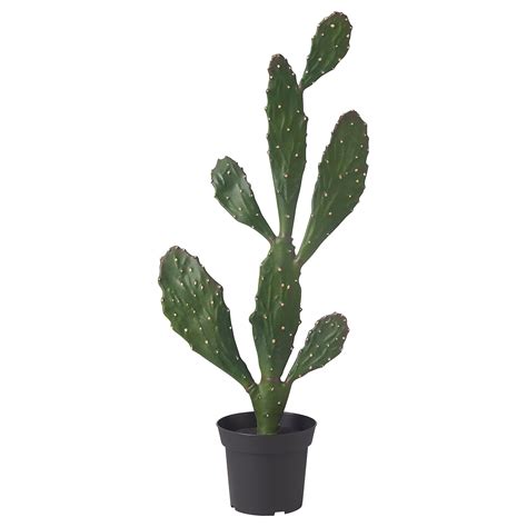 Fejka Artificial Potted Plant Indooroutdoor Cactus Ikea